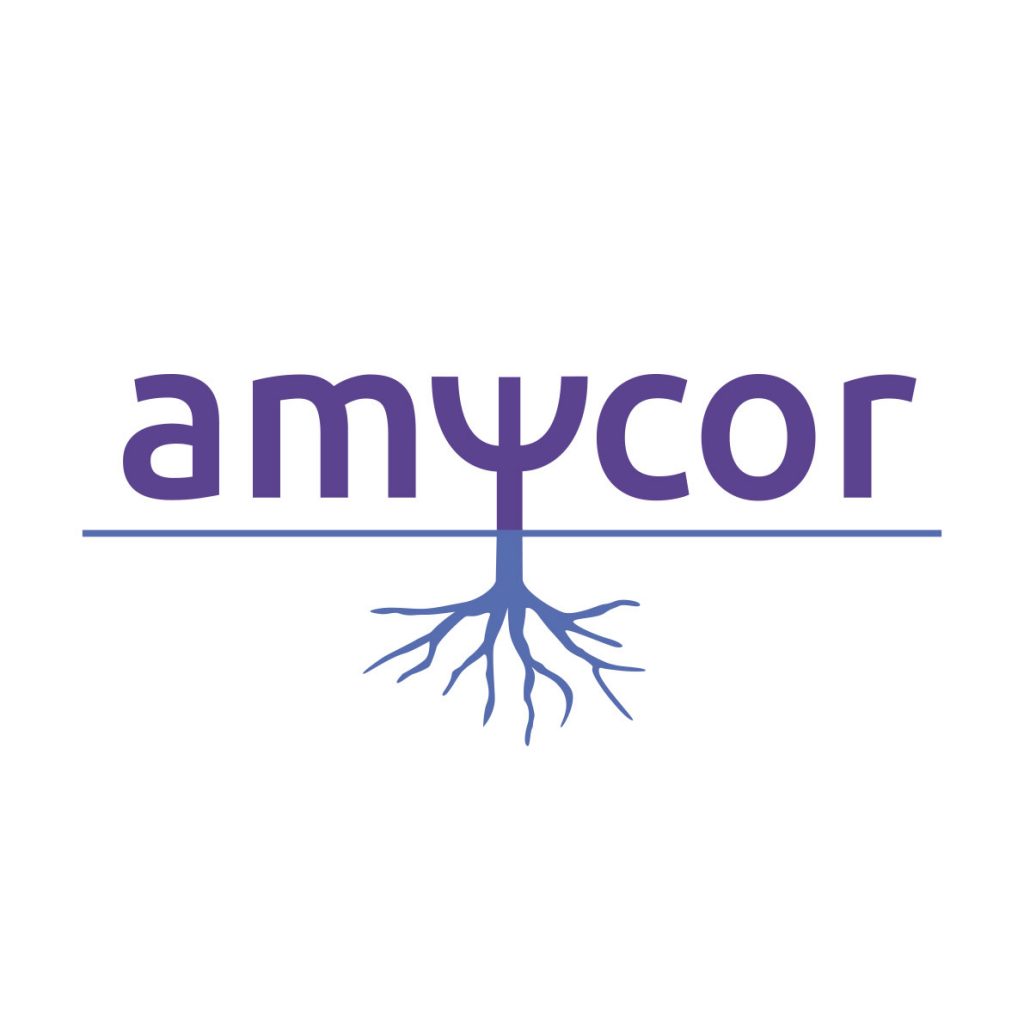 Amycor-logo
